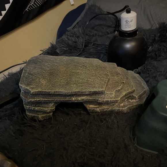 Reptile, hides ceramic hide very nice. water feeder, heat rock, heat lamp. - Picture 3 of 4
